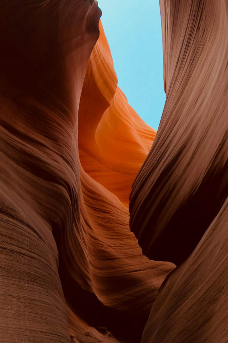 Wall Poster - Autumn Forest in Antelope Canyon