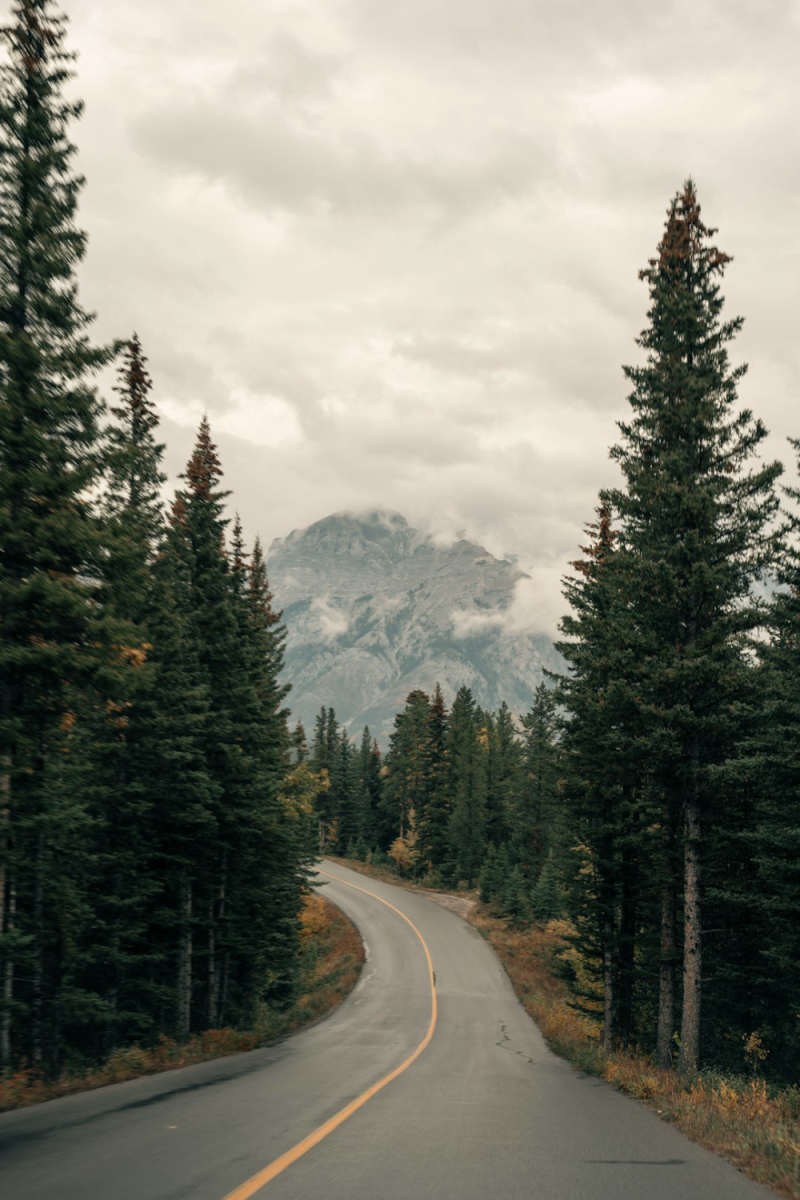 Wall Poster - Autumn Forest in Banff