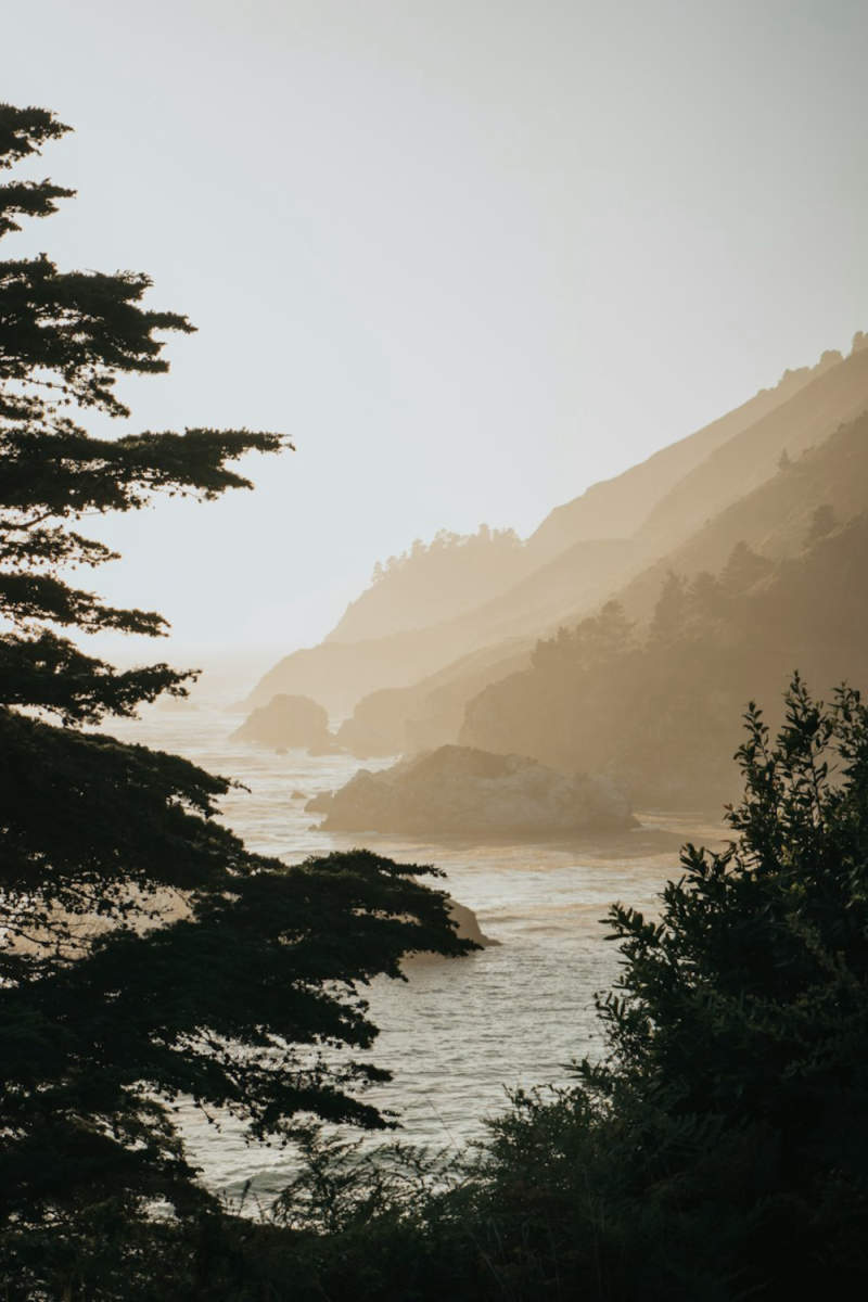 Wall Poster - Autumn Forest in Big Sur