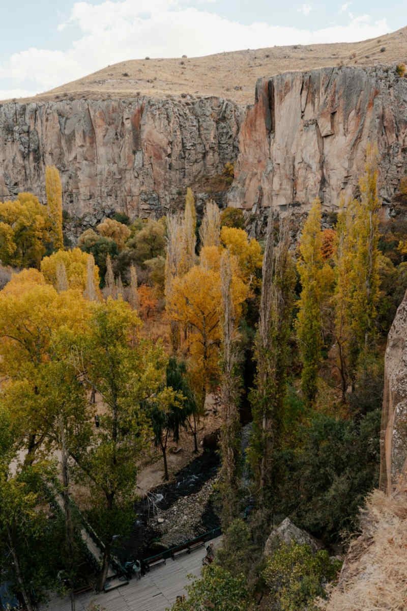 Wall Poster - Autumn Forest in Cappadocia