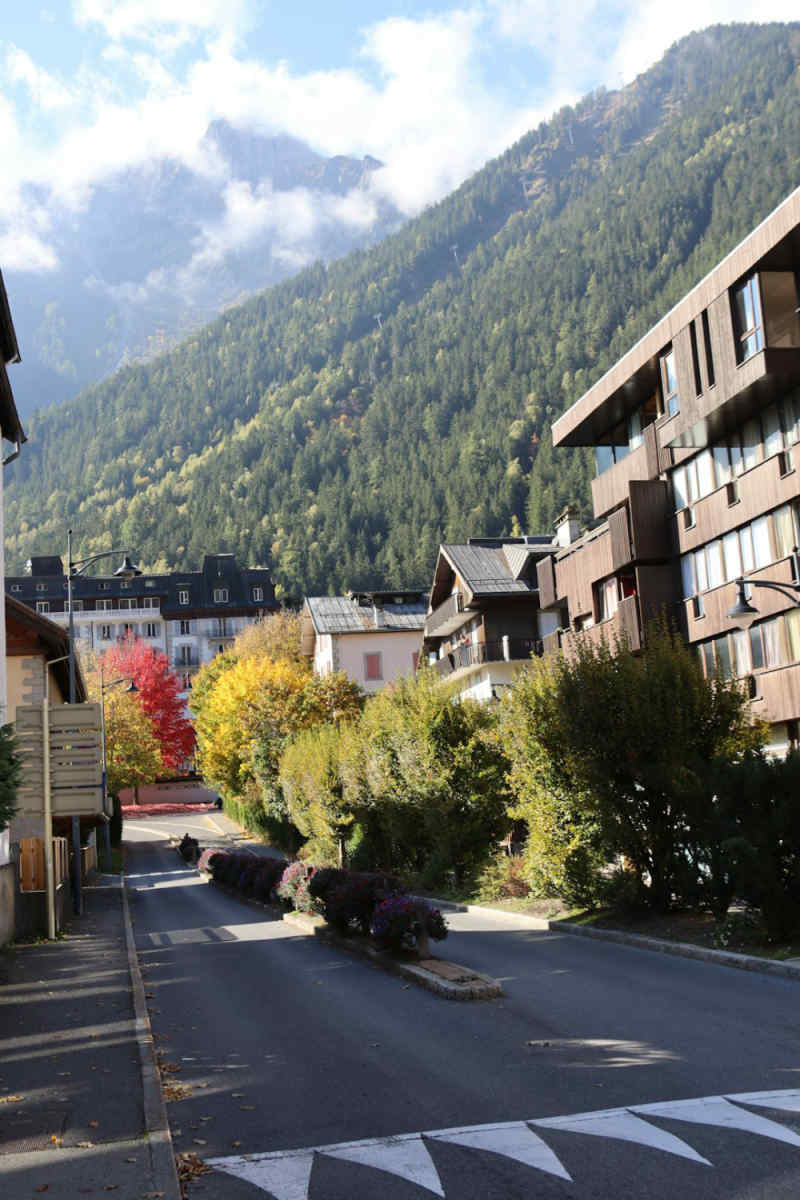 Wall Poster - Autumn Forest in Chamonix