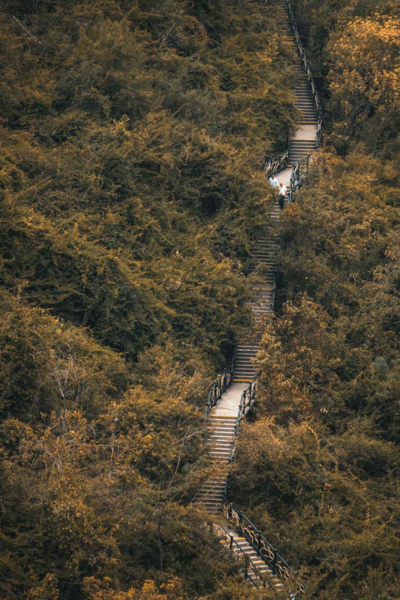 Wall Poster - Autumn Forest in Guilin
