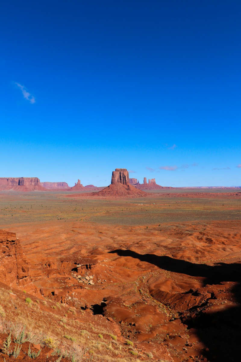 Wall Poster - Autumn Forest in Monument Valley