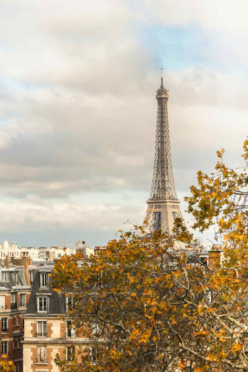 Wall Poster - Autumn Forest in Paris