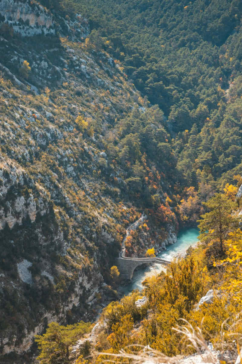 Wall Poster - Autumn Forest in Provence