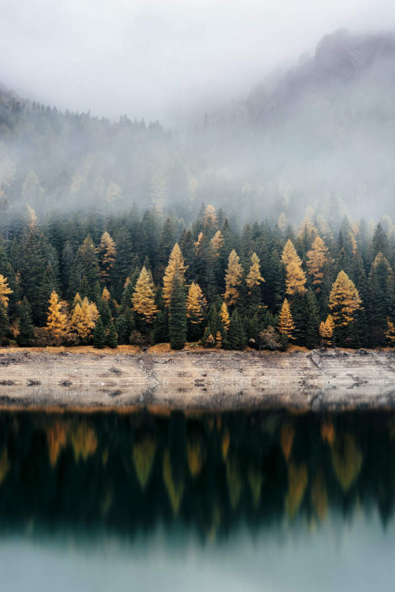 Wall Poster - Autumn Forest in Switzerland