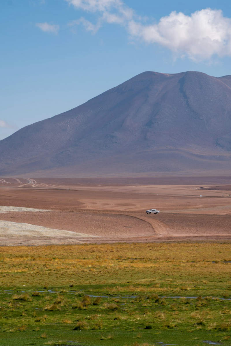 Wall Poster - Autumn Forest in the Atacama Desert