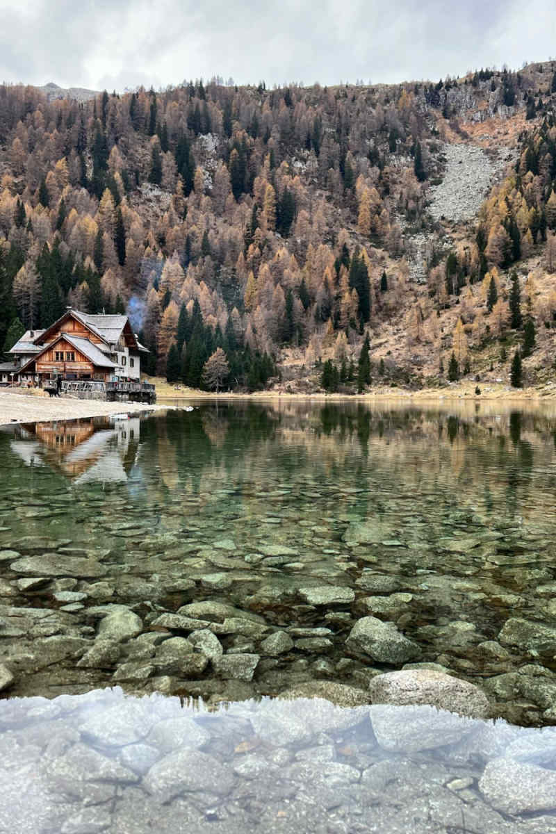 Wall Poster - Autumn Forest in the Dolomites