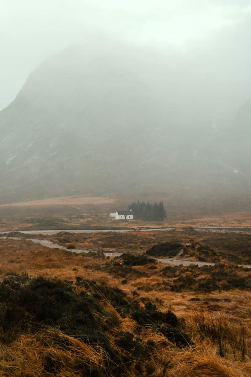 Wall Poster - Autumn Forest in the Scottish Highlands