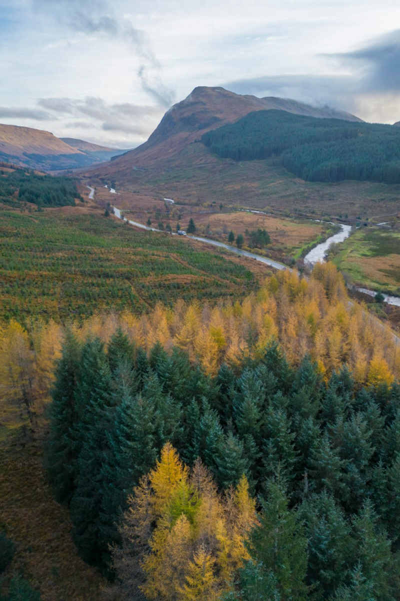 Wall Poster - Autumn Forest in the Scottish Isles