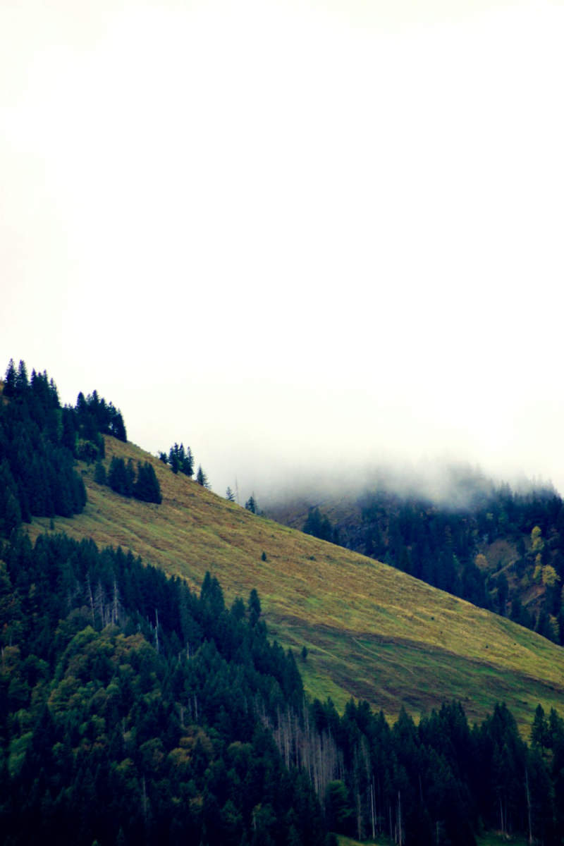 Wall Poster - Autumn Forest in the Swiss Alps