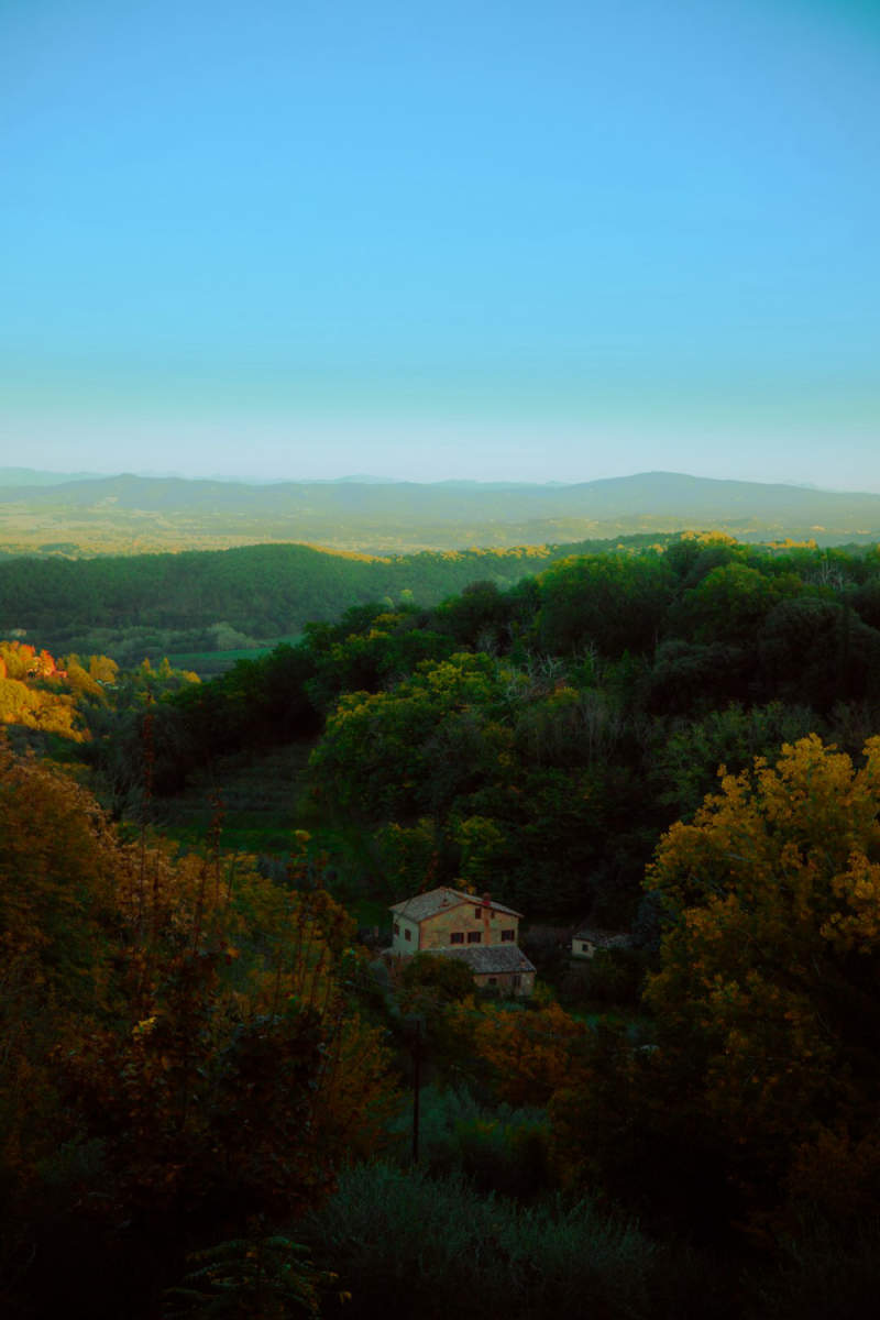 Wall Poster - Autumn Forest in Tuscany