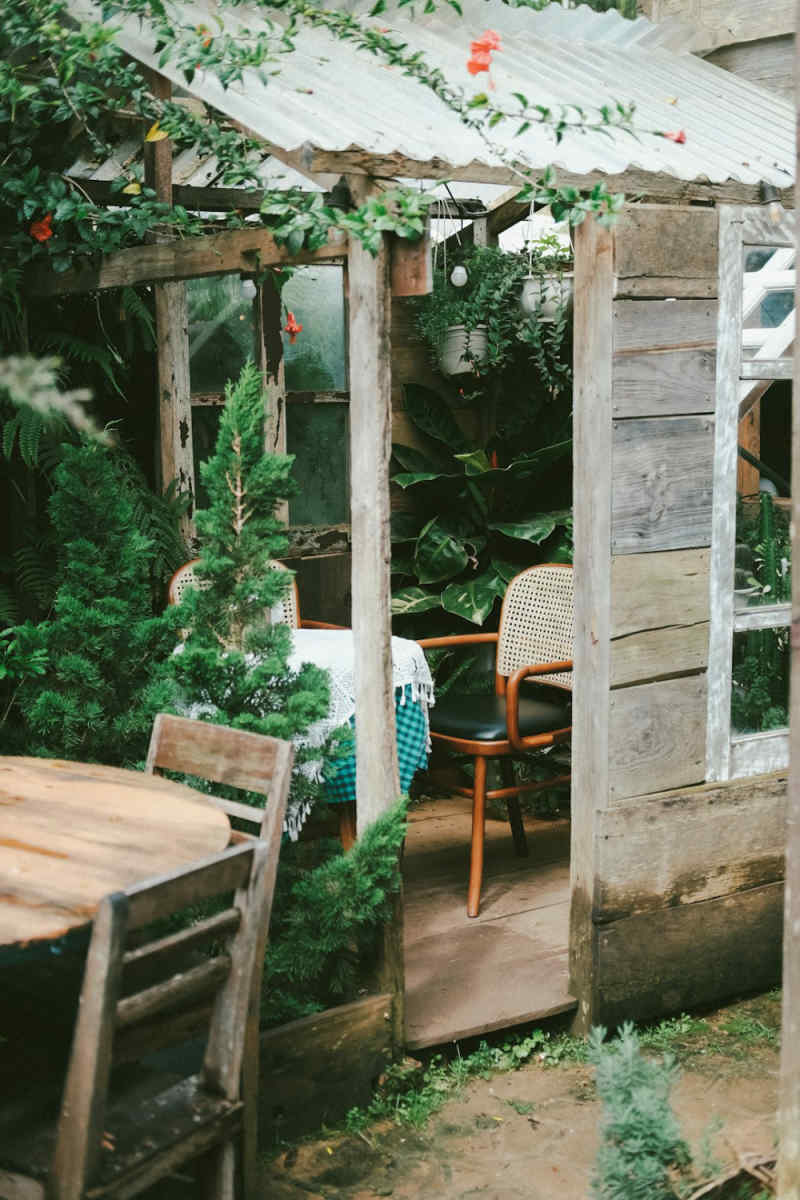 Wall Poster - Autumn Forest in Vietnam