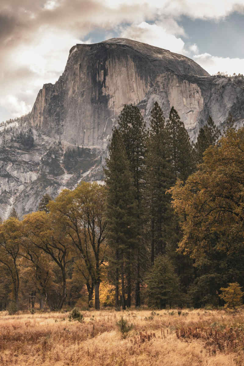 Wall Poster - Autumn Forest in Yosemite