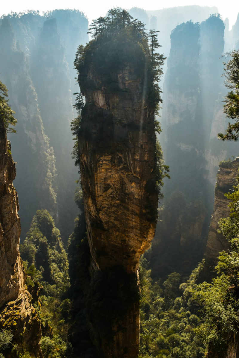 Wall Poster - Autumn Forest in Zhangjiajie