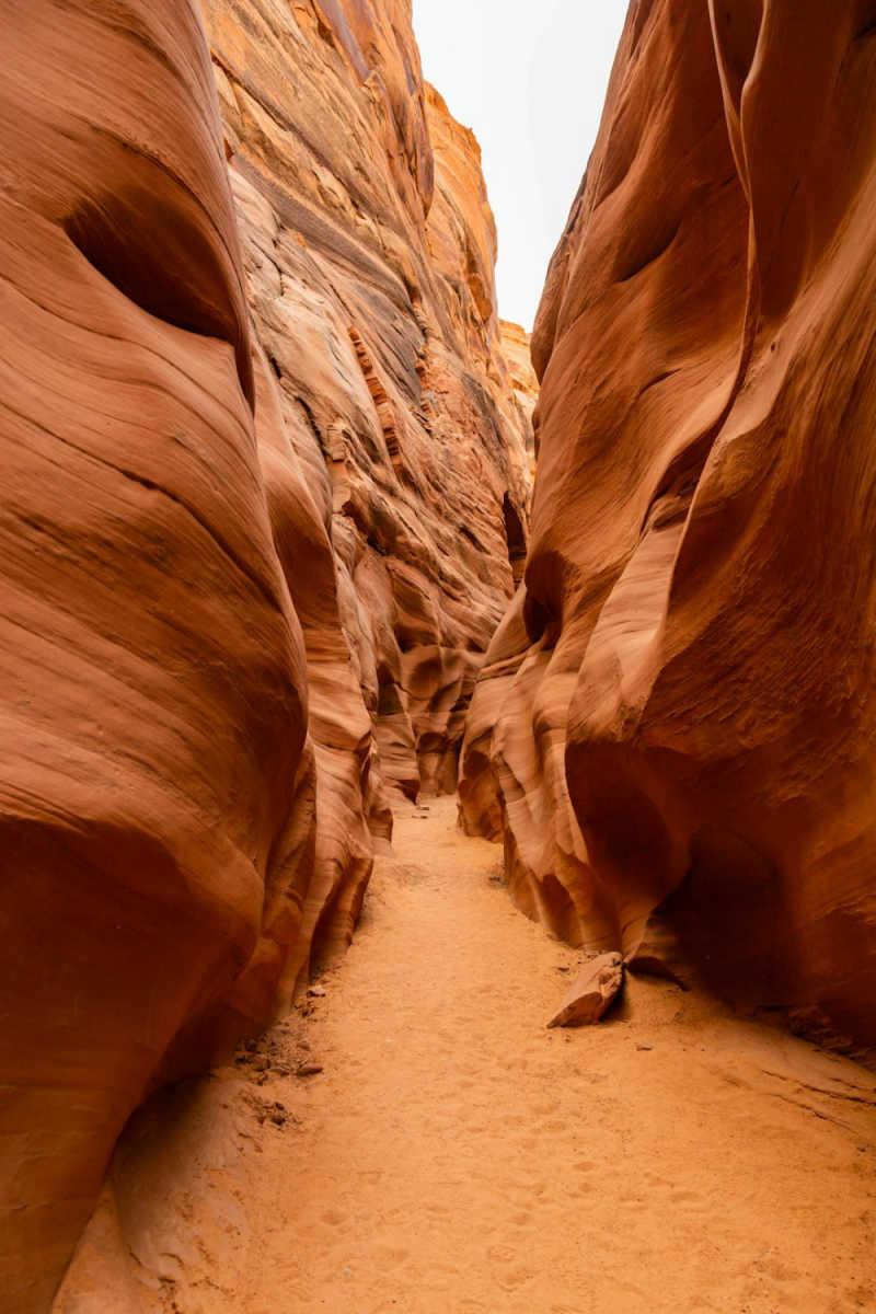 Wall Poster - Bamboo Forest in Antelope Canyon
