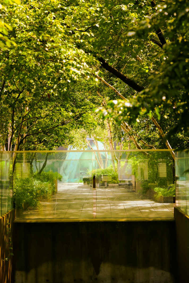 Wall Poster - Bamboo Forest in New York