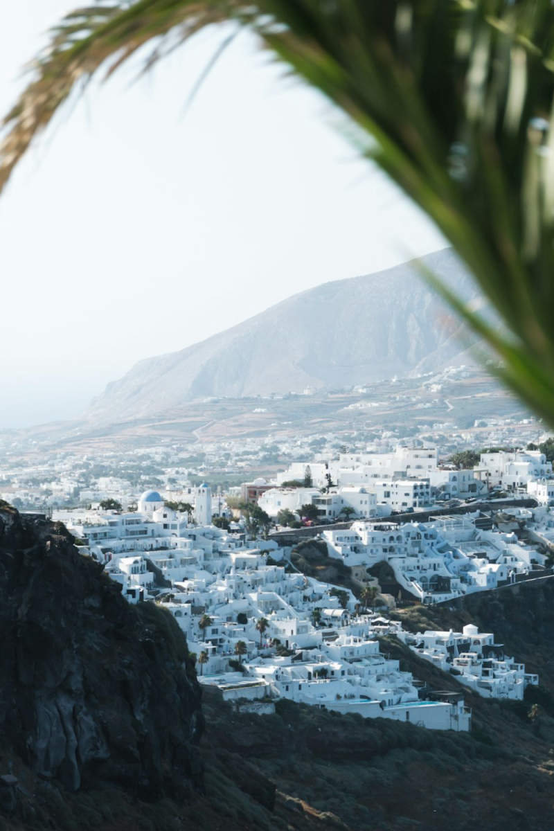 Wall Poster - Bamboo Forest in Santorini