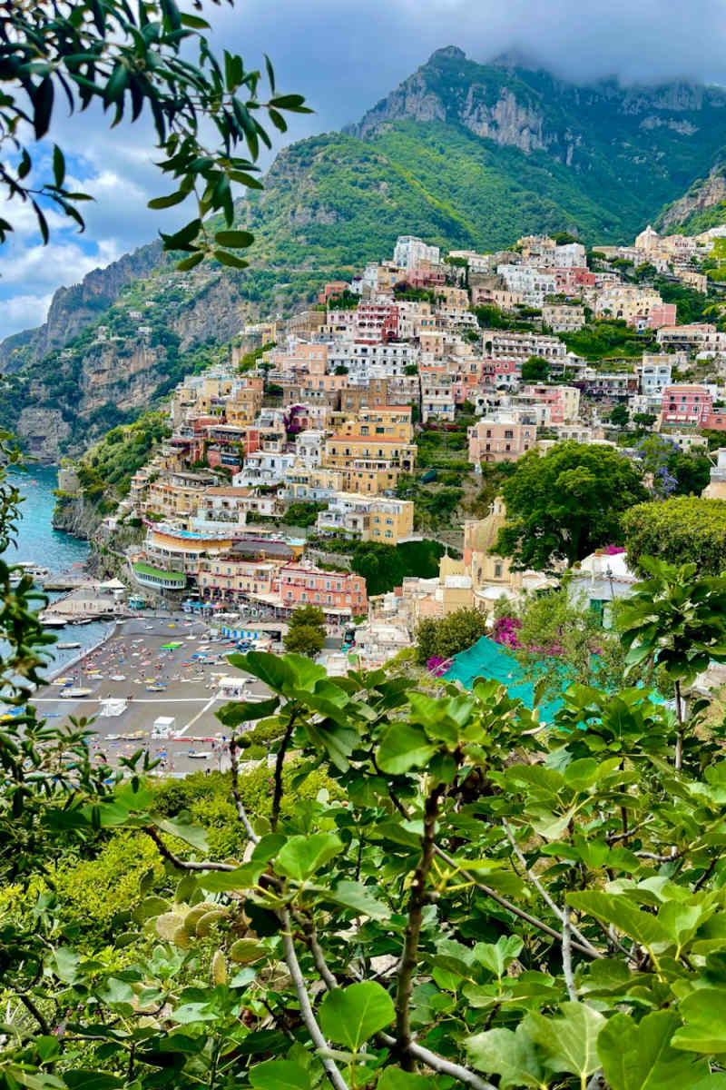 Wall Poster - Bamboo Forest in the Amalfi Coast