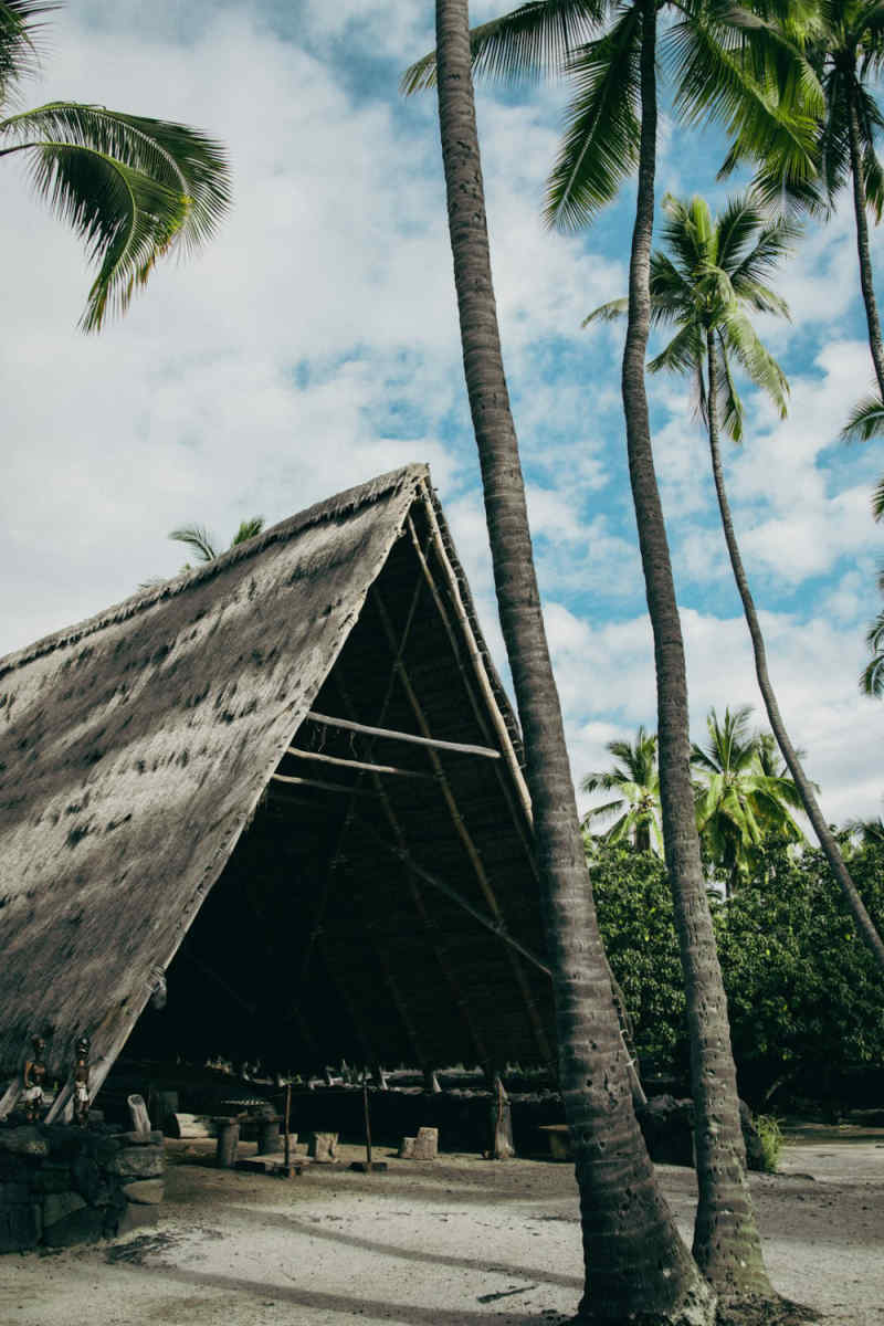 Wall Poster - Barn in Hawaii