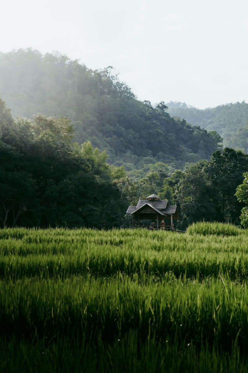 Wall Poster - Barn in Thailand