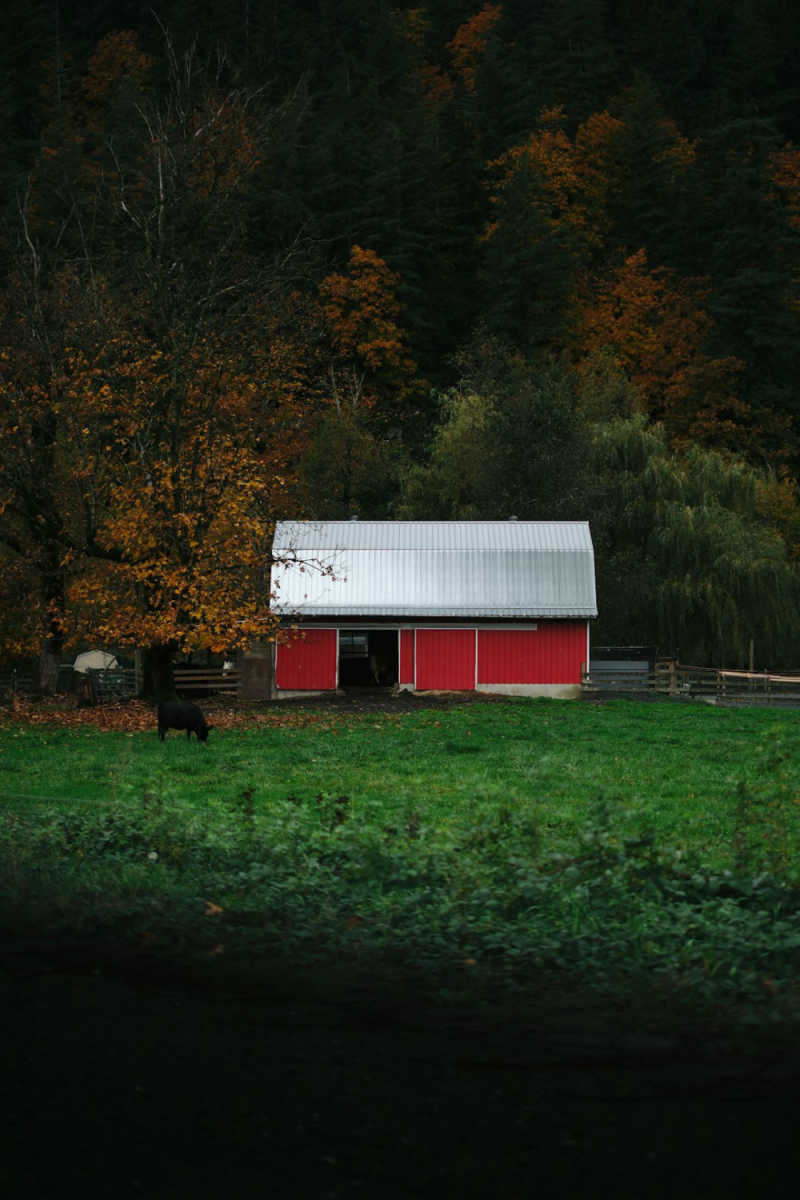Wall Poster - Barn in the Black Forest