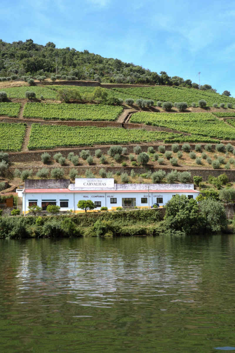 Wall Poster - Barn in the Douro Valley