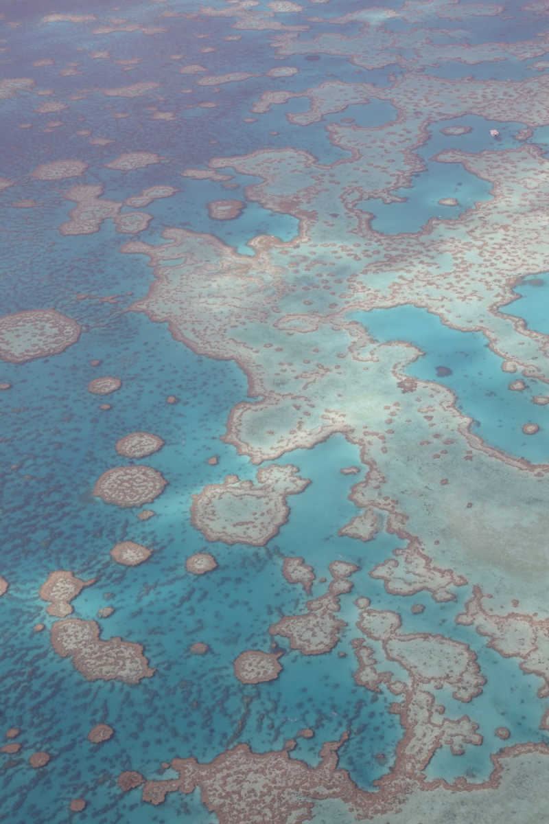 Wall Poster - Barn in the Great Barrier Reef