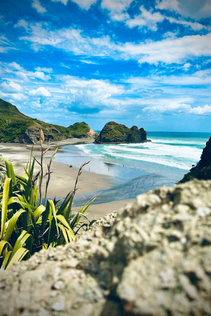 Wall Poster - Beach in New Zealand