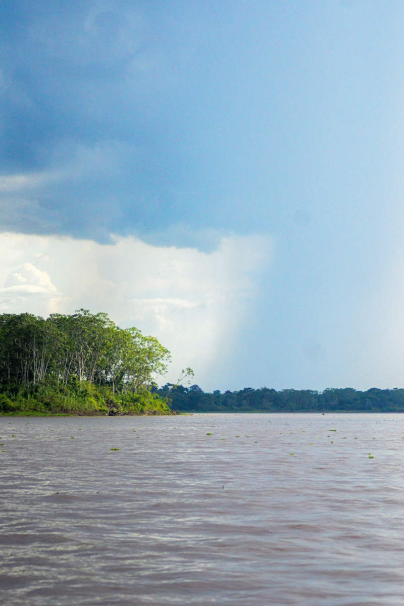 Wall Poster - Beach in the Amazon Rainforest