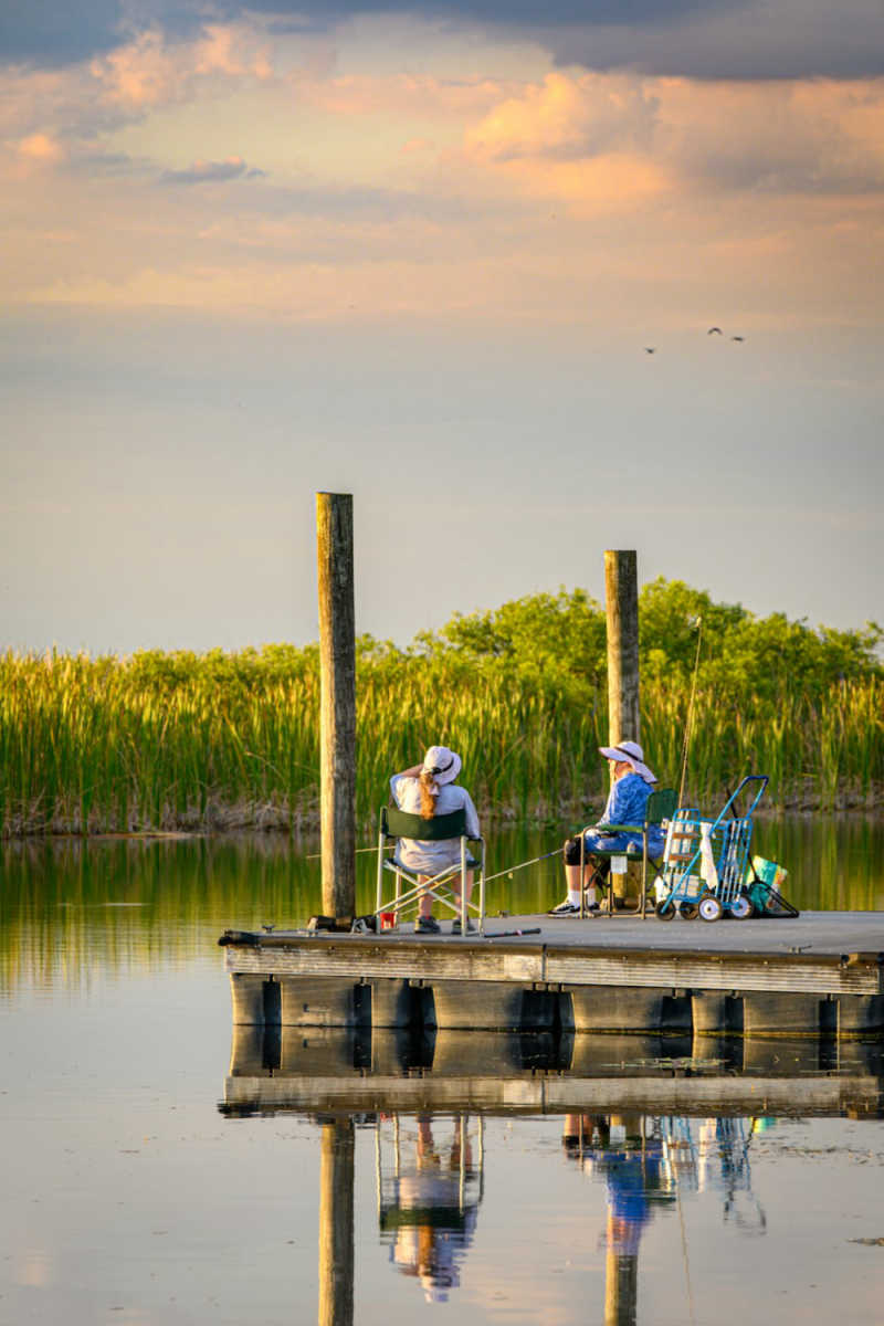 Wall Poster - Beach in the Everglades