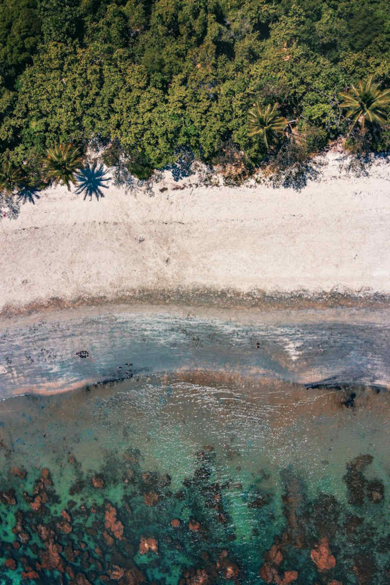 Wall Poster - Beach in the Great Barrier Reef