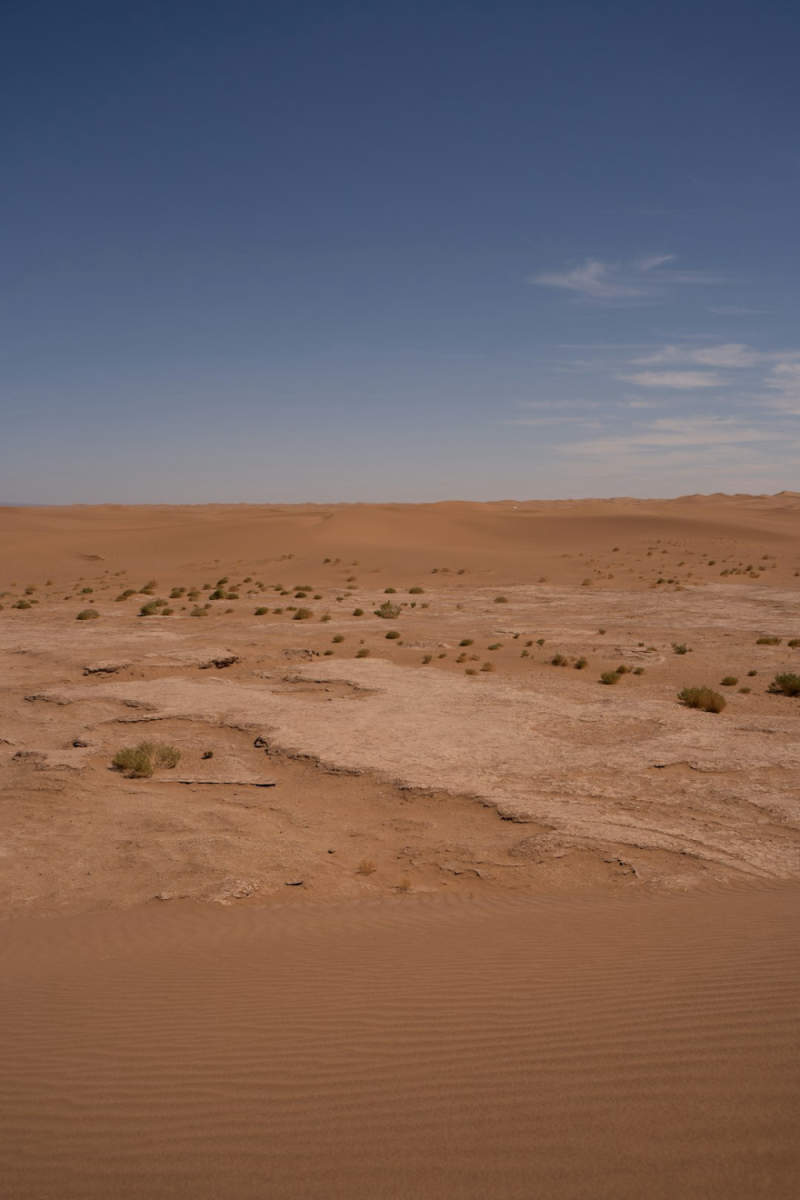 Wall Poster - Beach in the Sahara