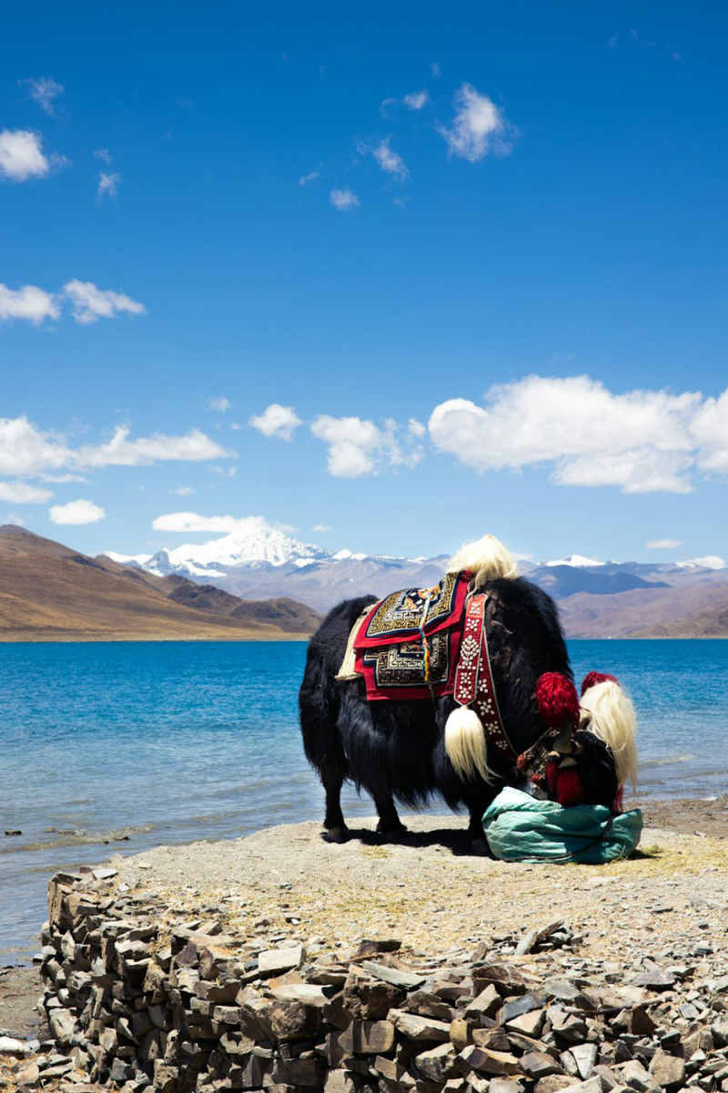Wall Poster - Beach in Tibet
