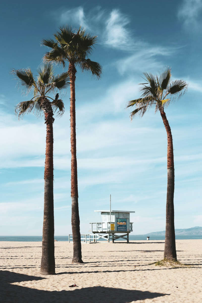 Wall Poster - Beach in Venice
