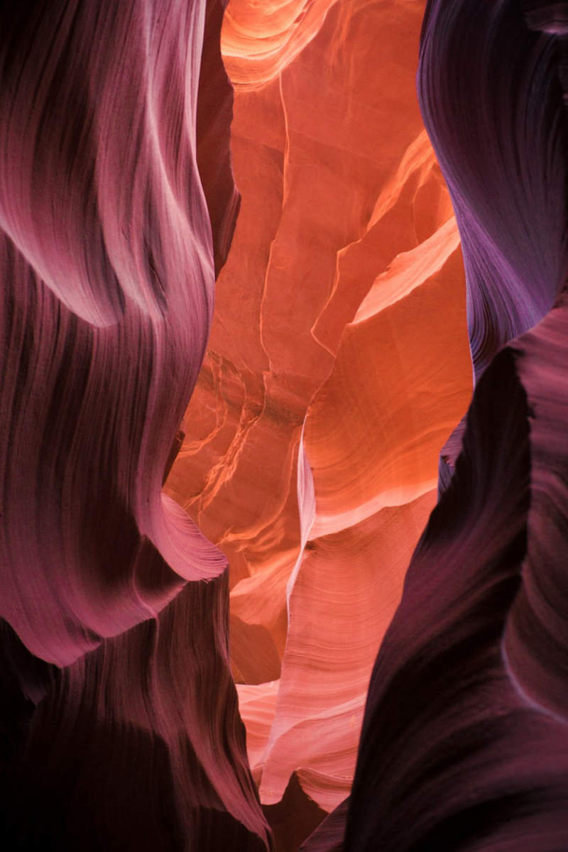 Wall Poster - Blossom Orchard in Antelope Canyon