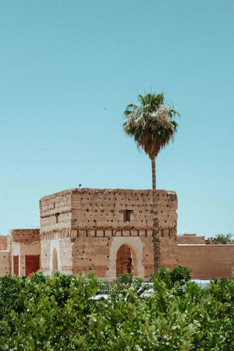 Wall Poster - Blossom Orchard in Marrakech