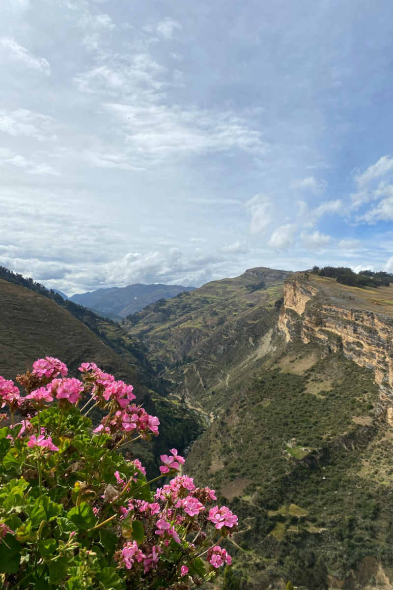 Wall Poster - Blossom Orchard in Peru