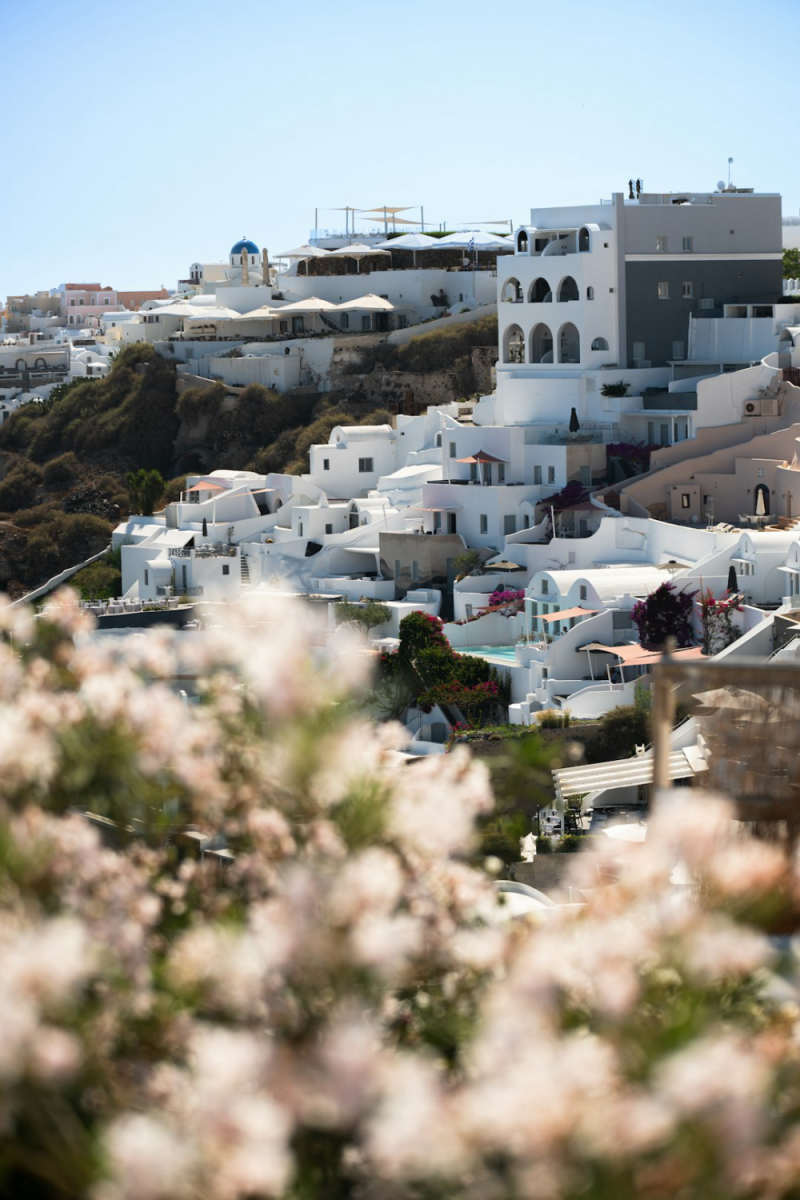 Wall Poster - Blossom Orchard in Santorini