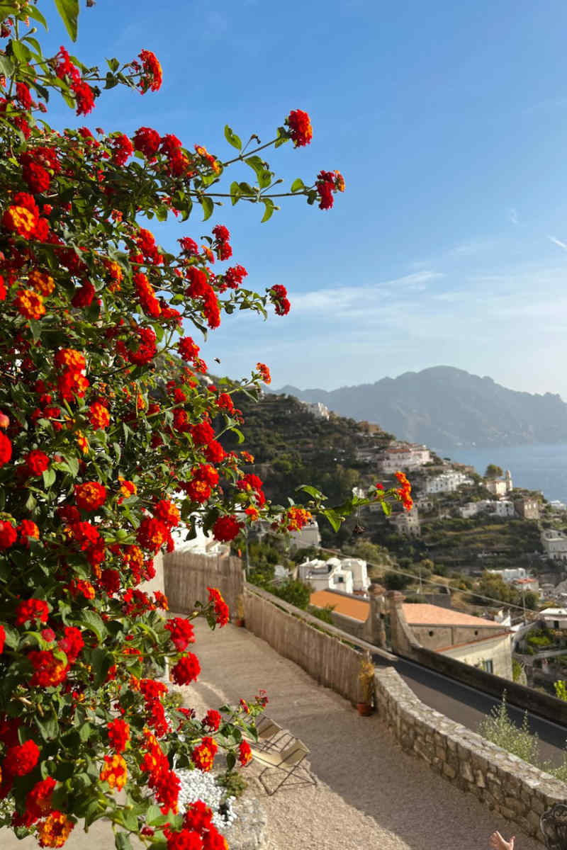 Wall Poster - Blossom Orchard in the Amalfi Coast