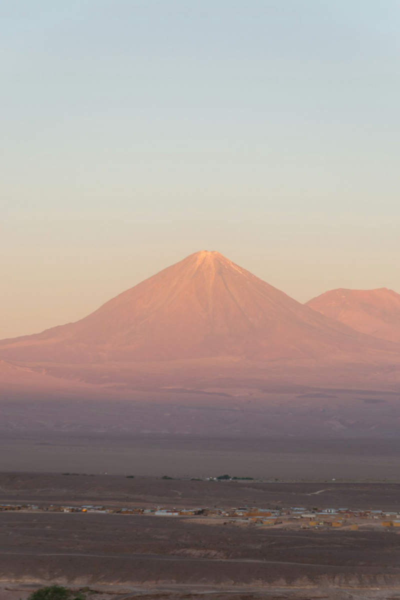 Wall Poster - Blossom Orchard in the Atacama Desert