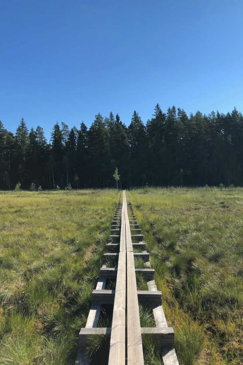 Wall Poster - Boardwalk in Finland