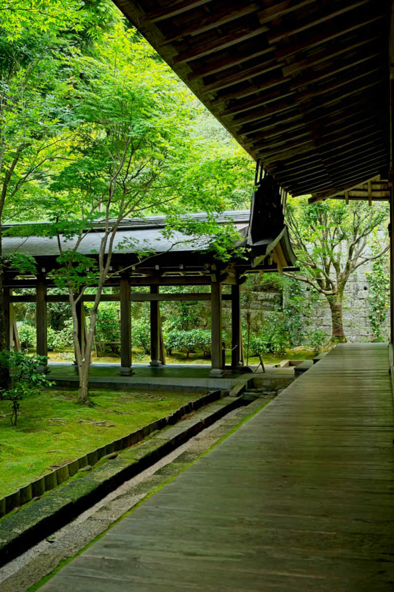 Wall Poster - Boardwalk in Kyoto