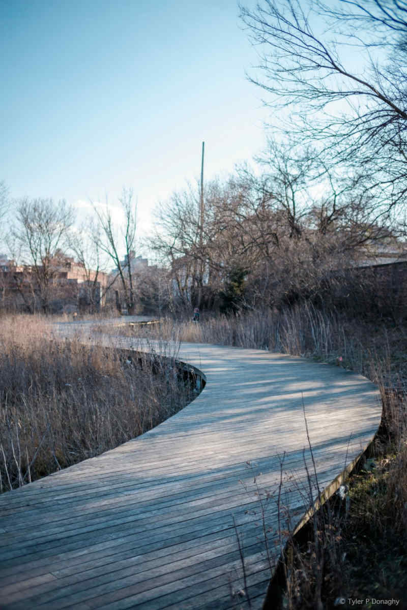 Wall Poster - Boardwalk in New York