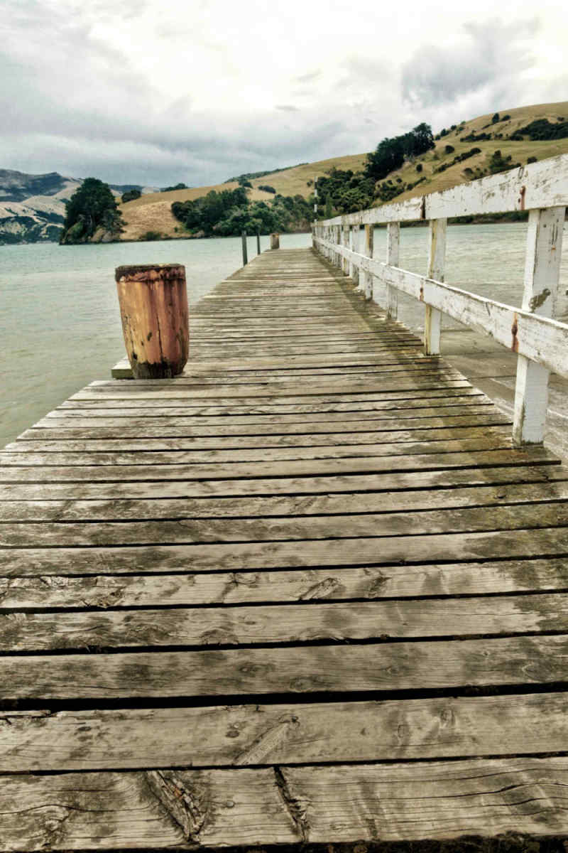 Wall Poster - Boardwalk in New Zealand