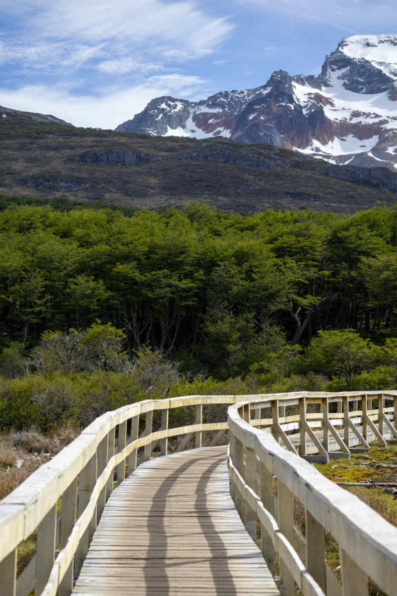 Wall Poster - Boardwalk in Patagonia