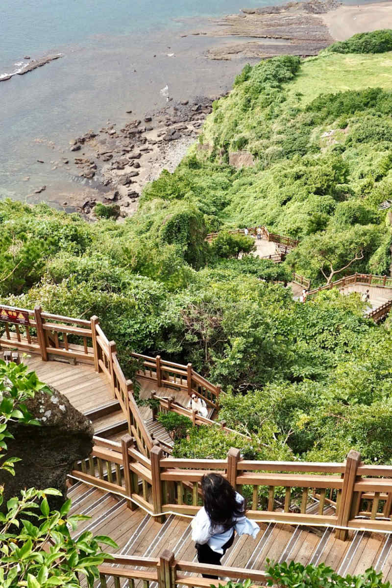 Wall Poster - Boardwalk in South Korea