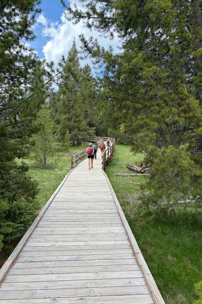Wall Poster - Boardwalk in the Grand Tetons