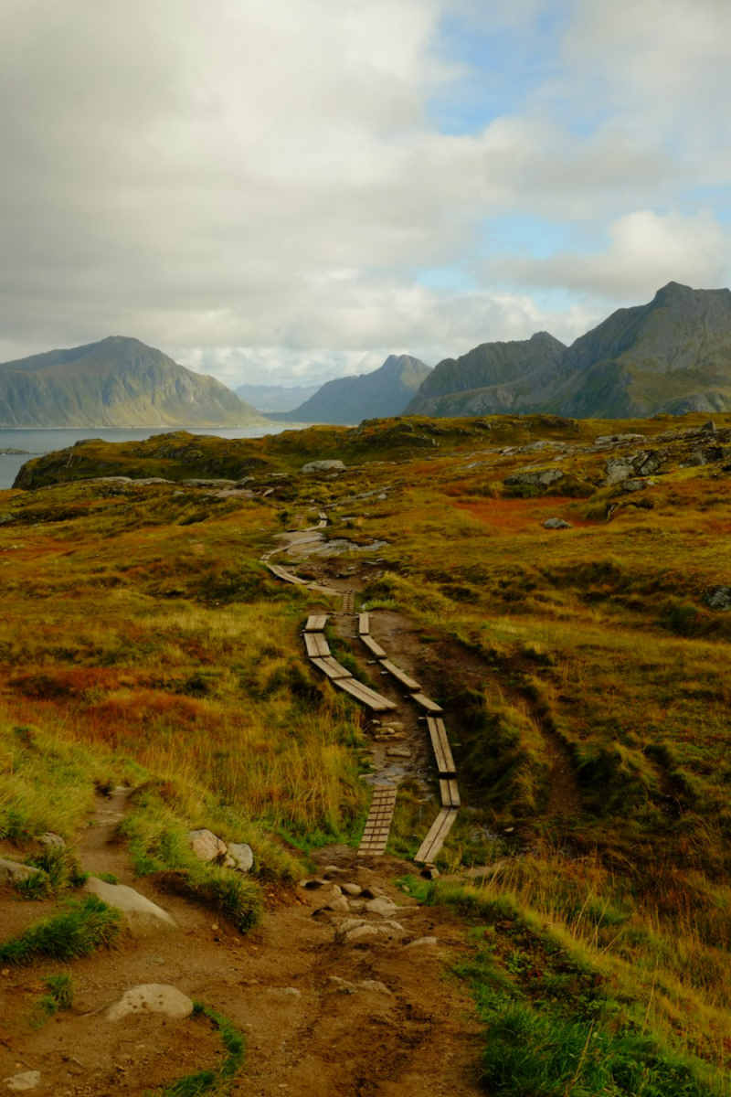 Wall Poster - Boardwalk in the Lofoten Islands