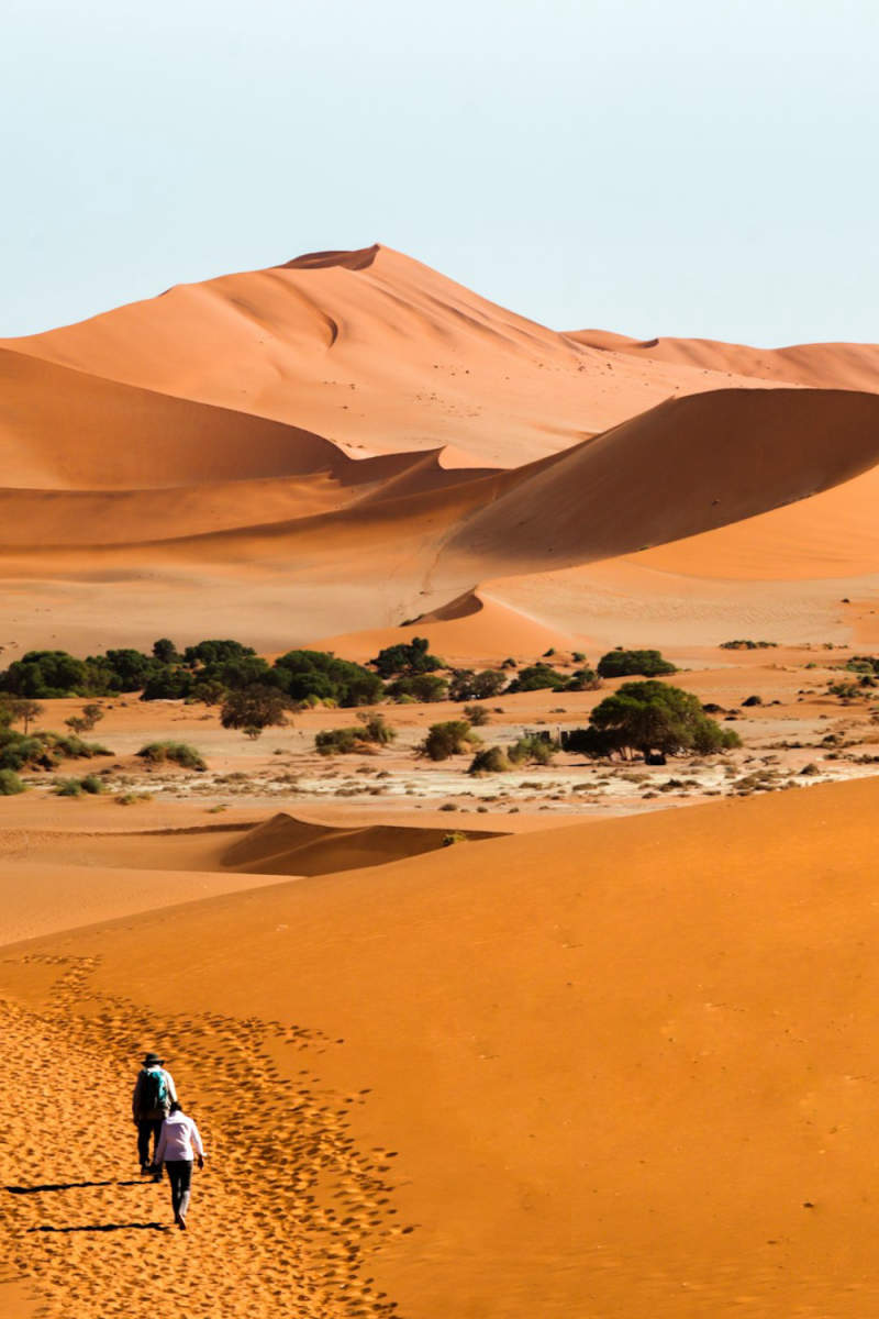 Wall Poster - Boardwalk in the Namib Desert